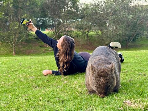 Wombat Selfie