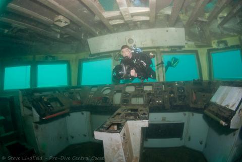 Swim throughs the bridge