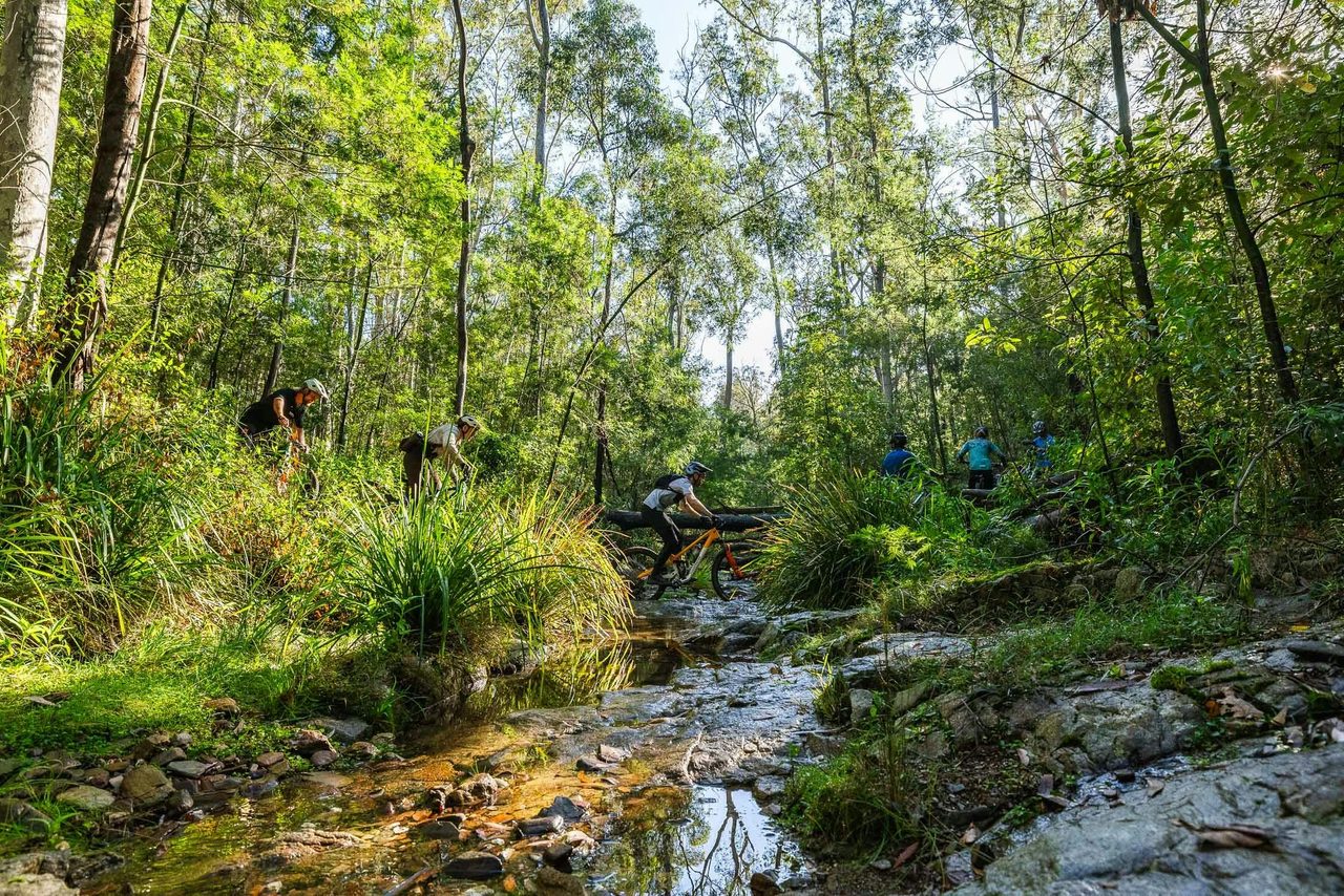 Mogo Trail Creek