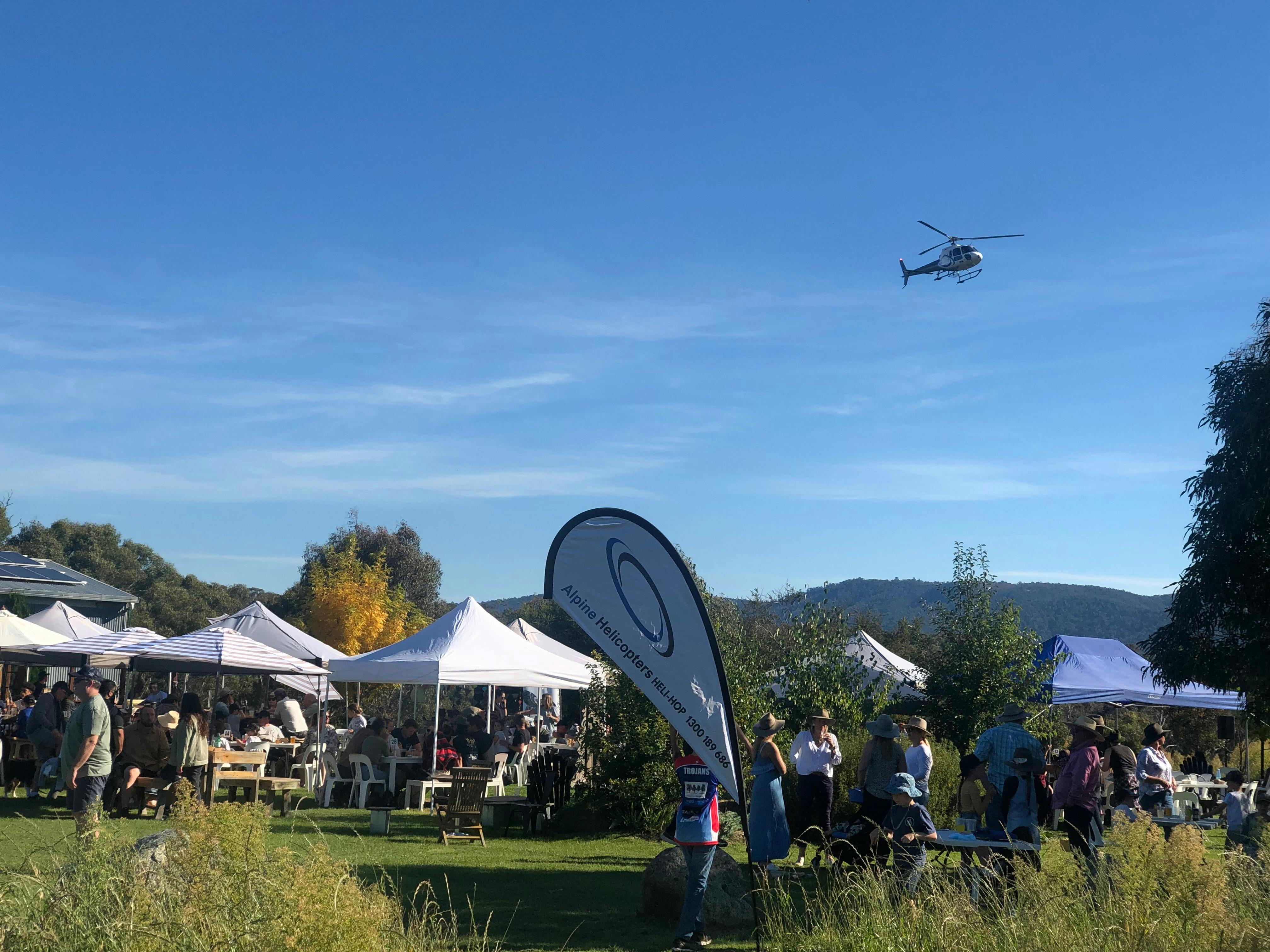Descending into Dalgety Brewing Co. Snowy Vineyards and Microbrewrey.