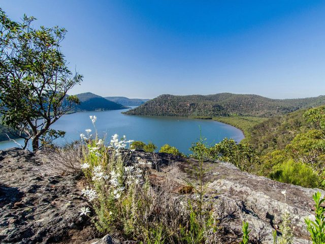 Coba Ridge to Collingridge Point walking track