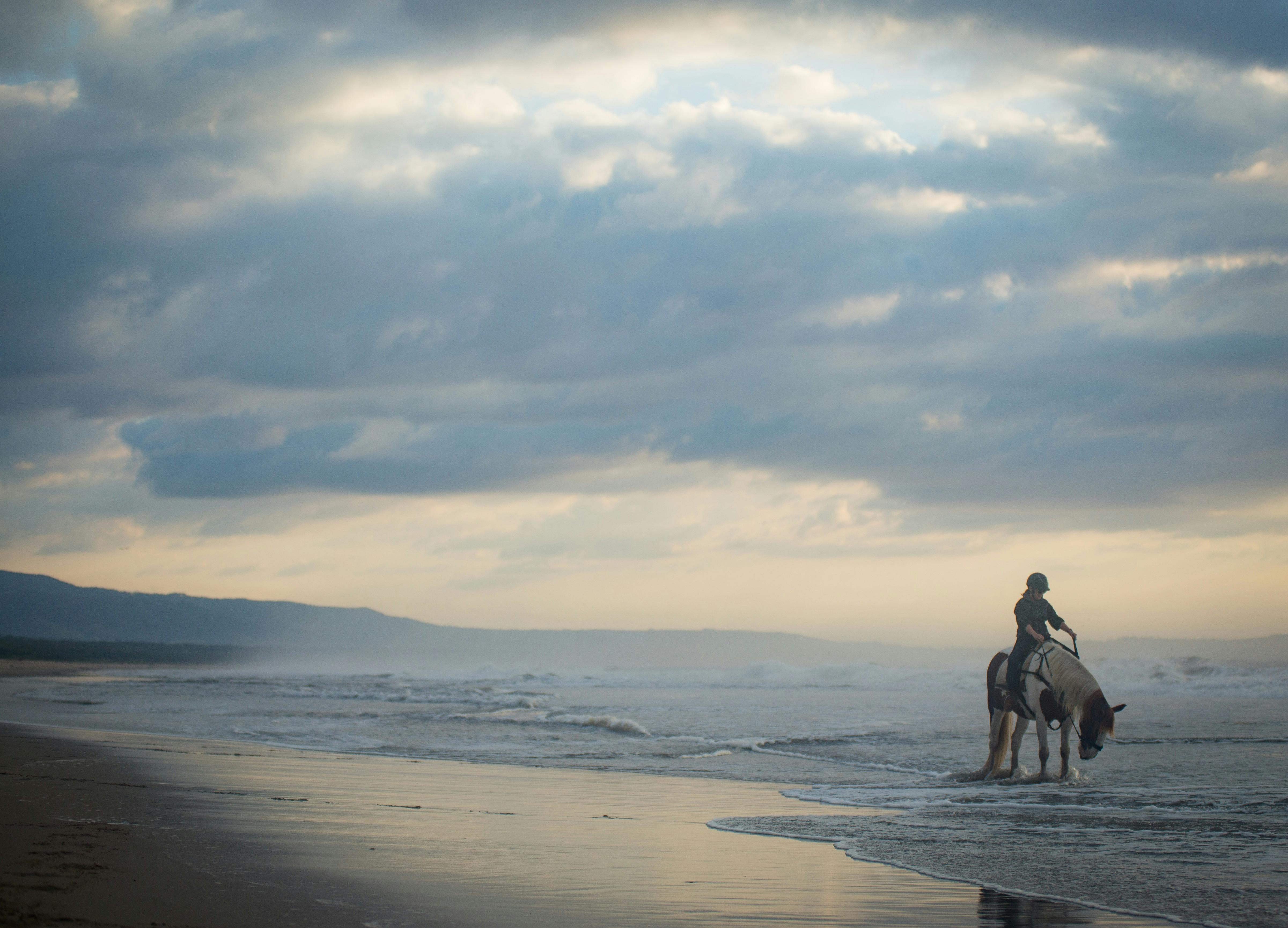A Regal Riding School trail ride at Shoalhaven Heads.