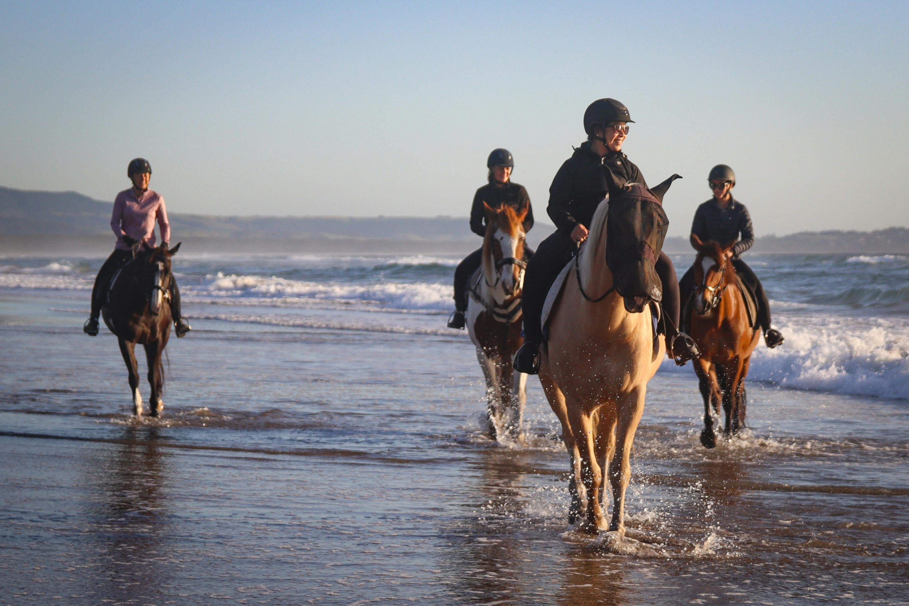 A Regal Riding School trail ride at Shoalhaven Heads.