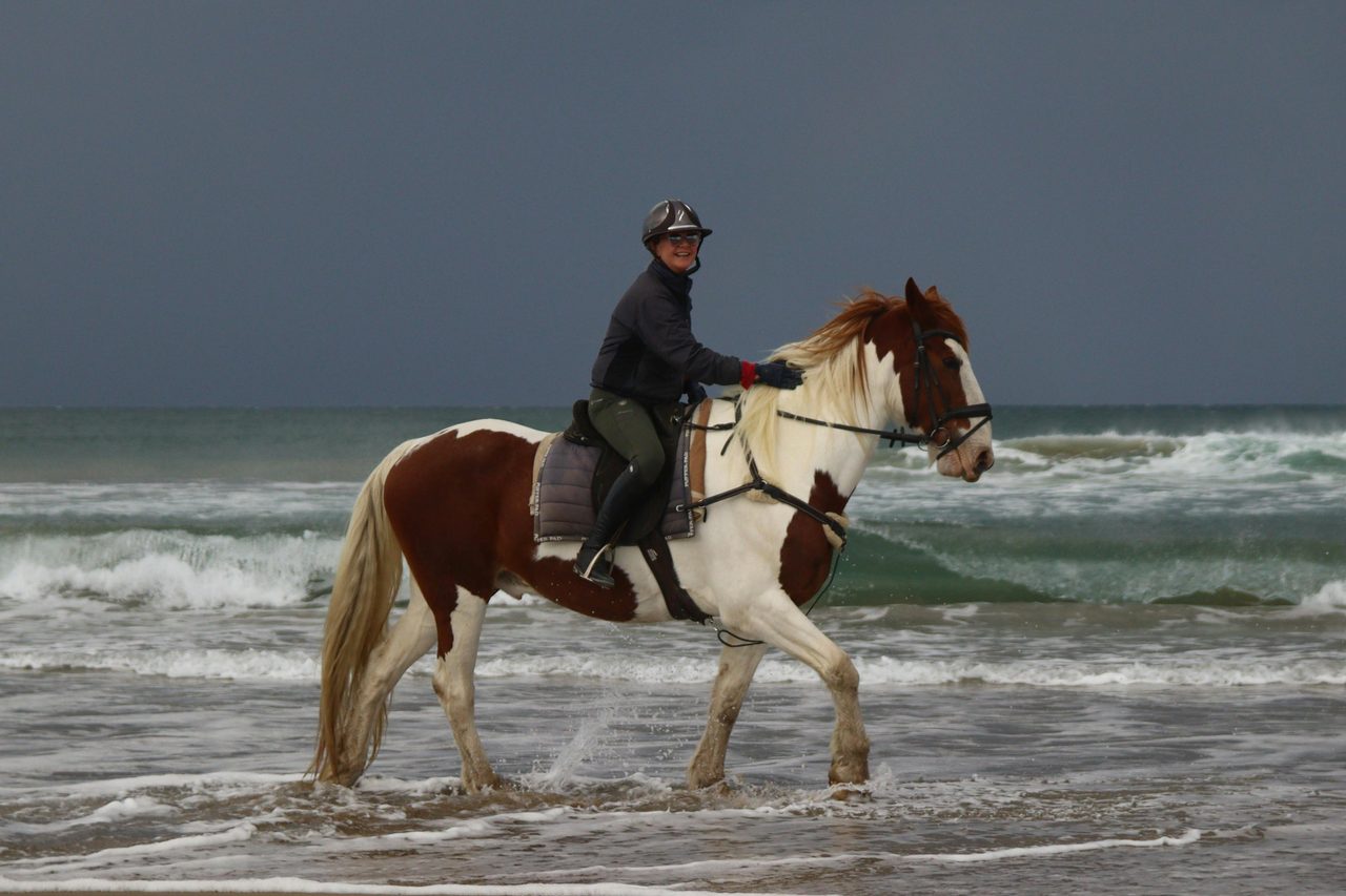 A Regal Riding School trail ride at Shoalhaven Heads.