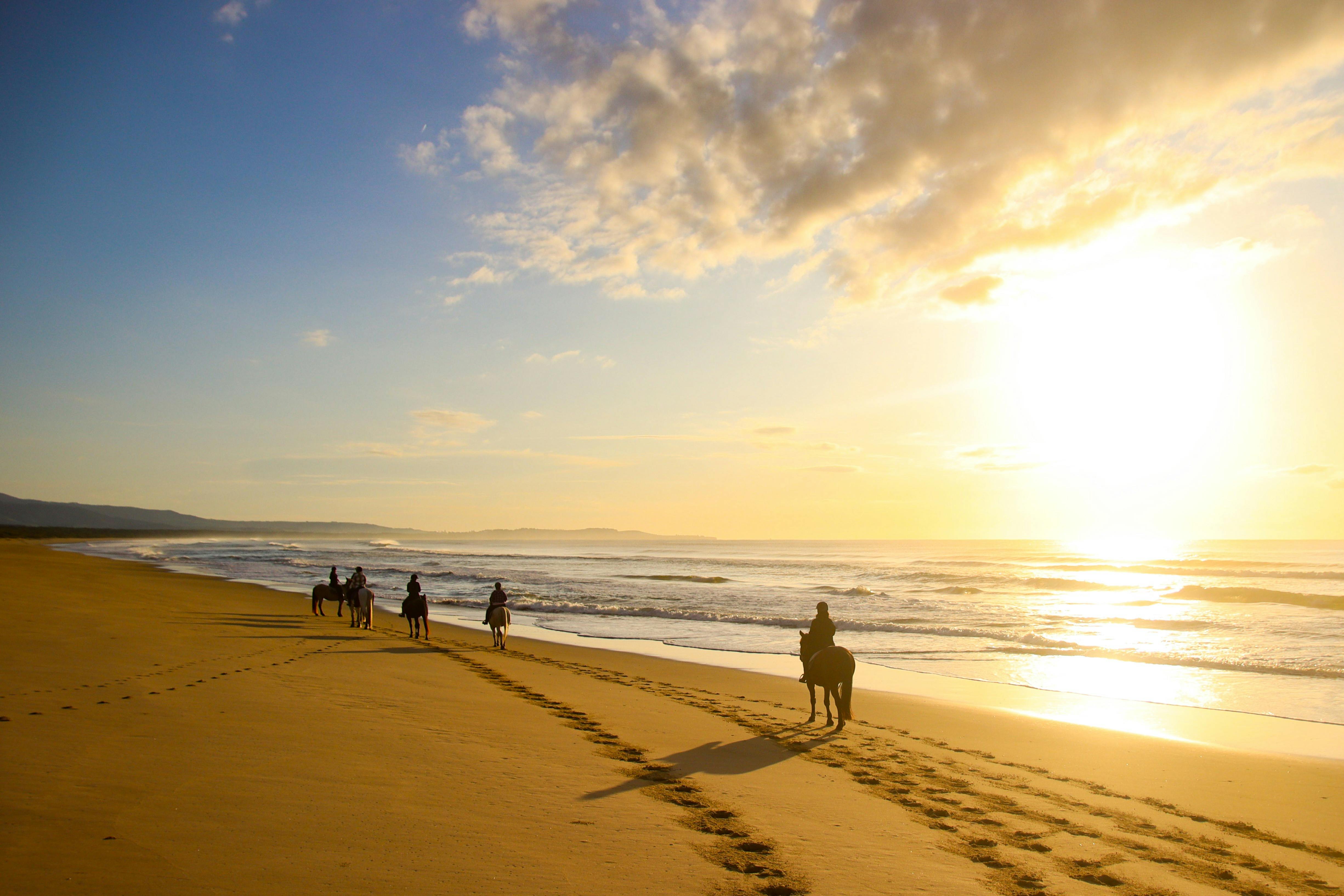 A Regal Riding School trail ride at Shoalhaven Heads.