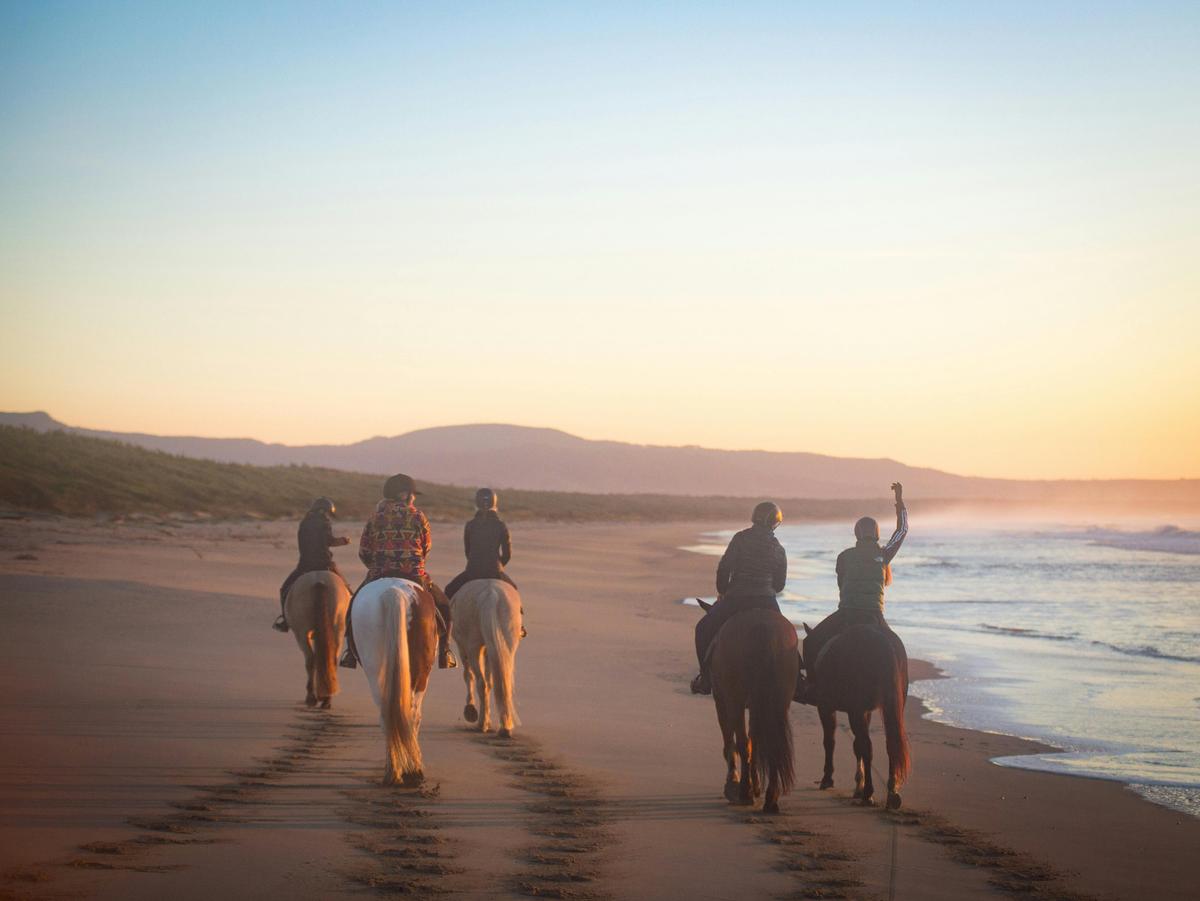 A Regal Riding School trail ride at Shoalhaven Heads.