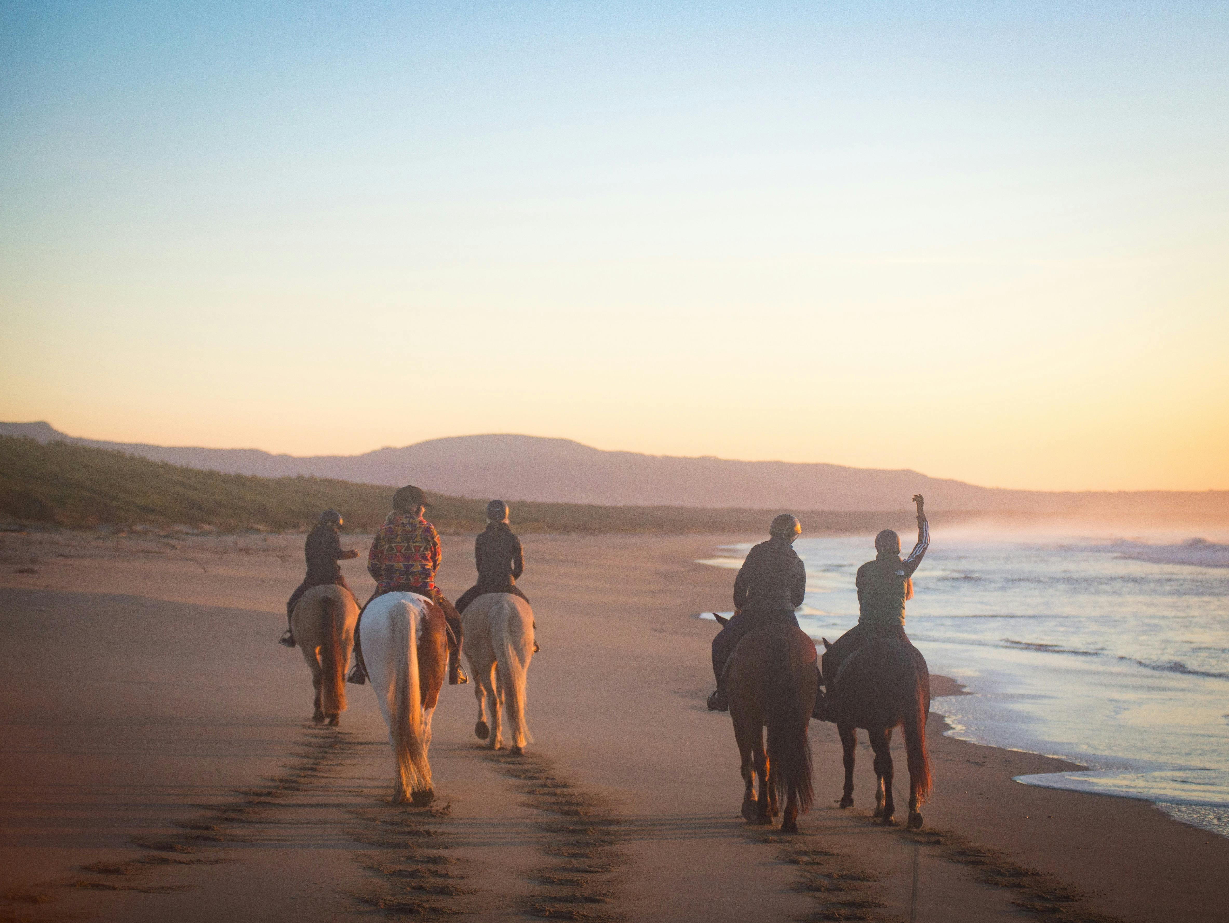 A Regal Riding School trail ride at Shoalhaven Heads.