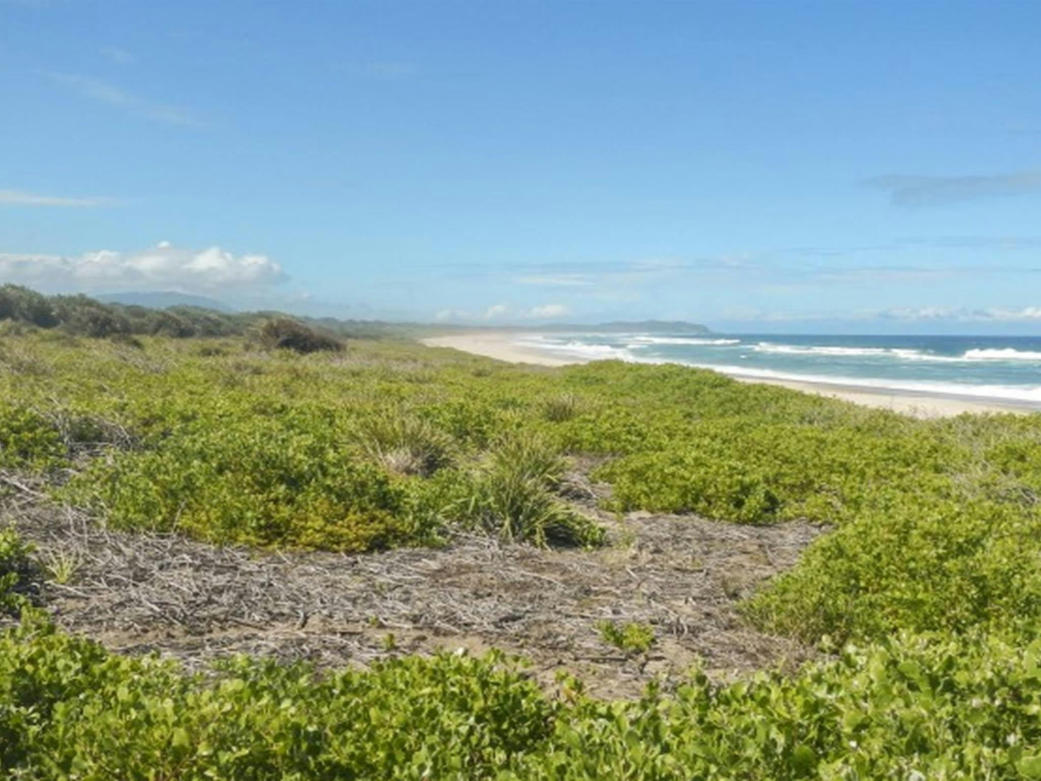 The view of the beach from Abbey Creek picnic area in Crowdy Bay National Park. Photo: Debby McGerty