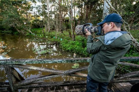 Searching for platypus