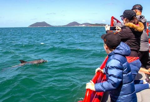 1 Hour Dolphin Watch Express