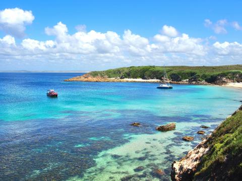 3.5 Hour Port Stephens Island Snorkelling Adventure