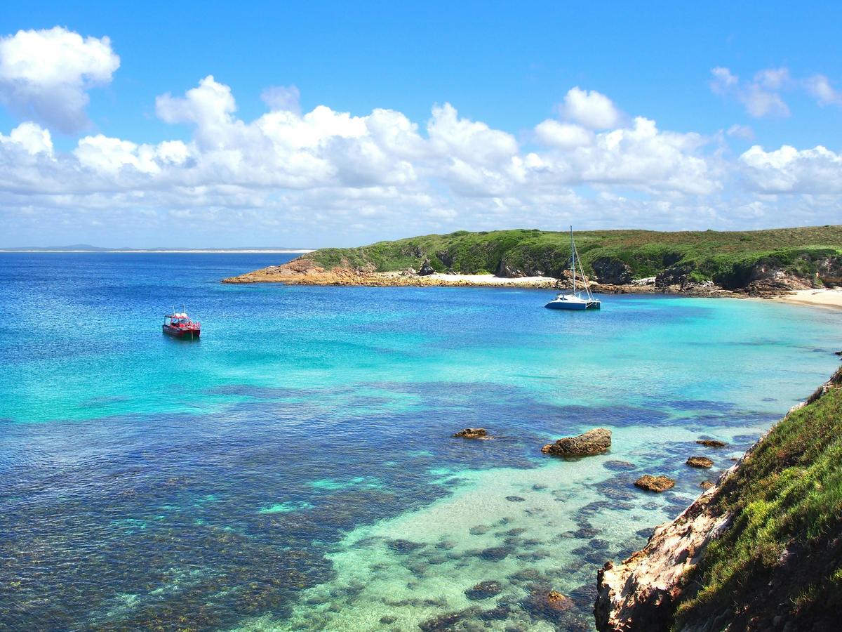 Port Stephens Island Snorkelling 1
