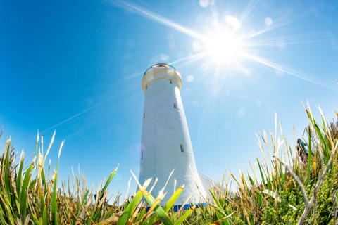 3.5 Hour Fingal Island Eco-Walk and Lighthouse Tour