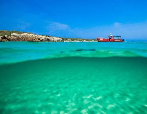 Port Stephens Island Snorkelling 3