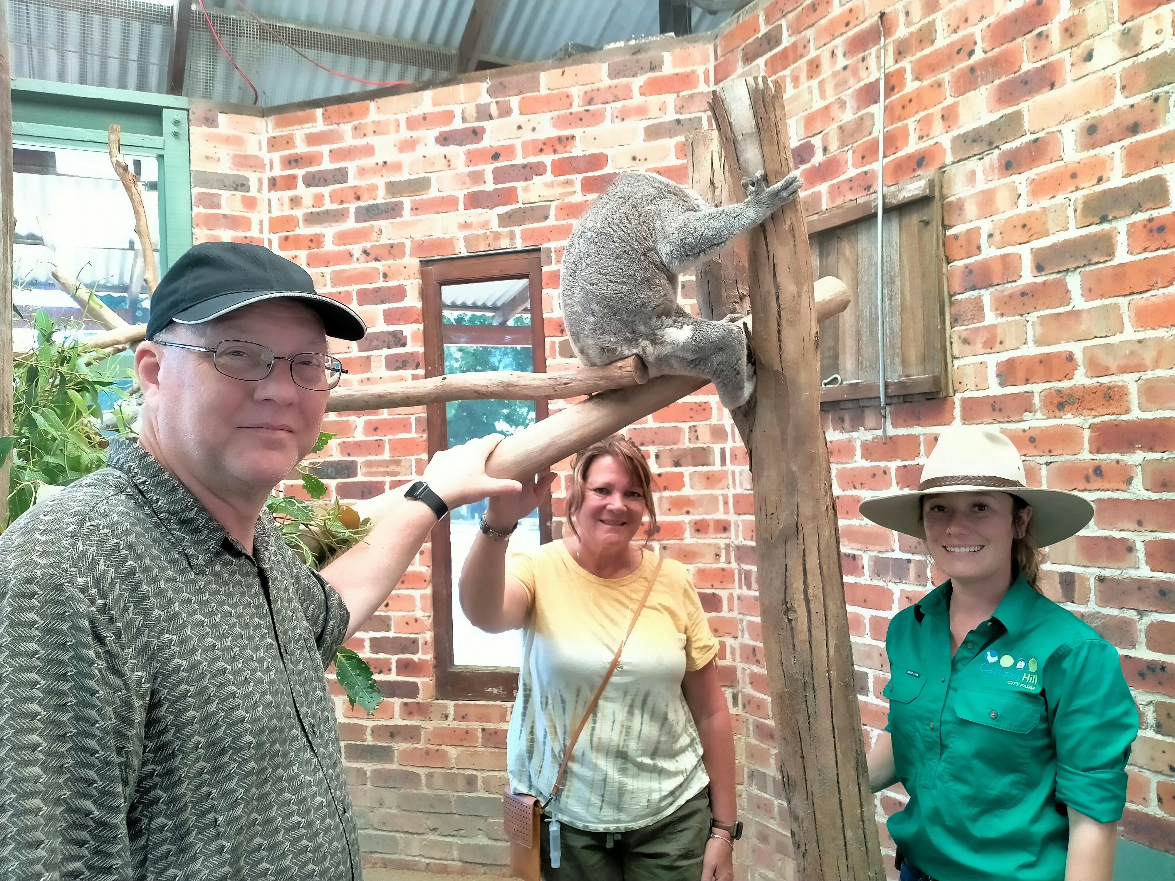 VIP up close with a koala