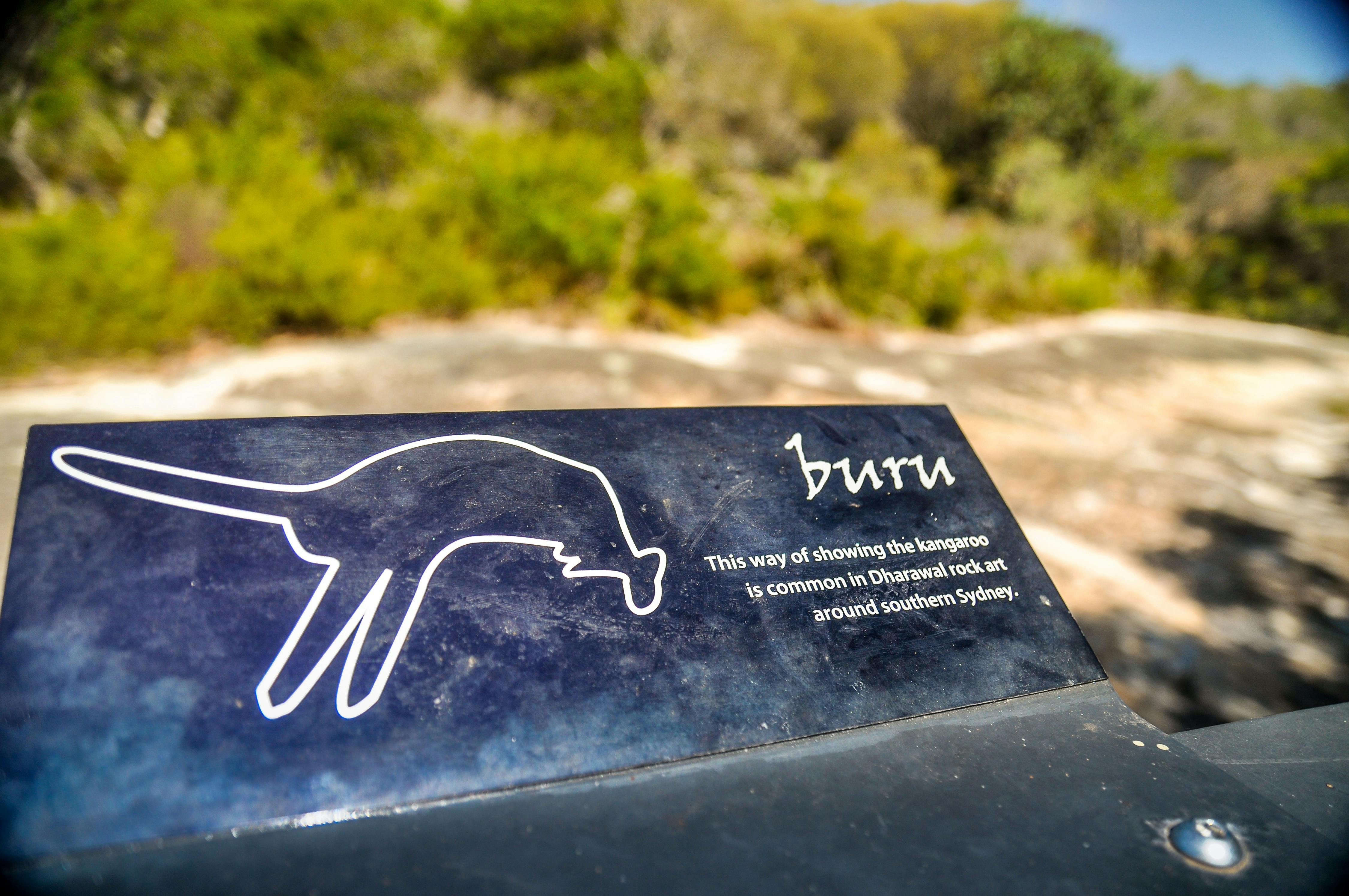 Indigineous engravings