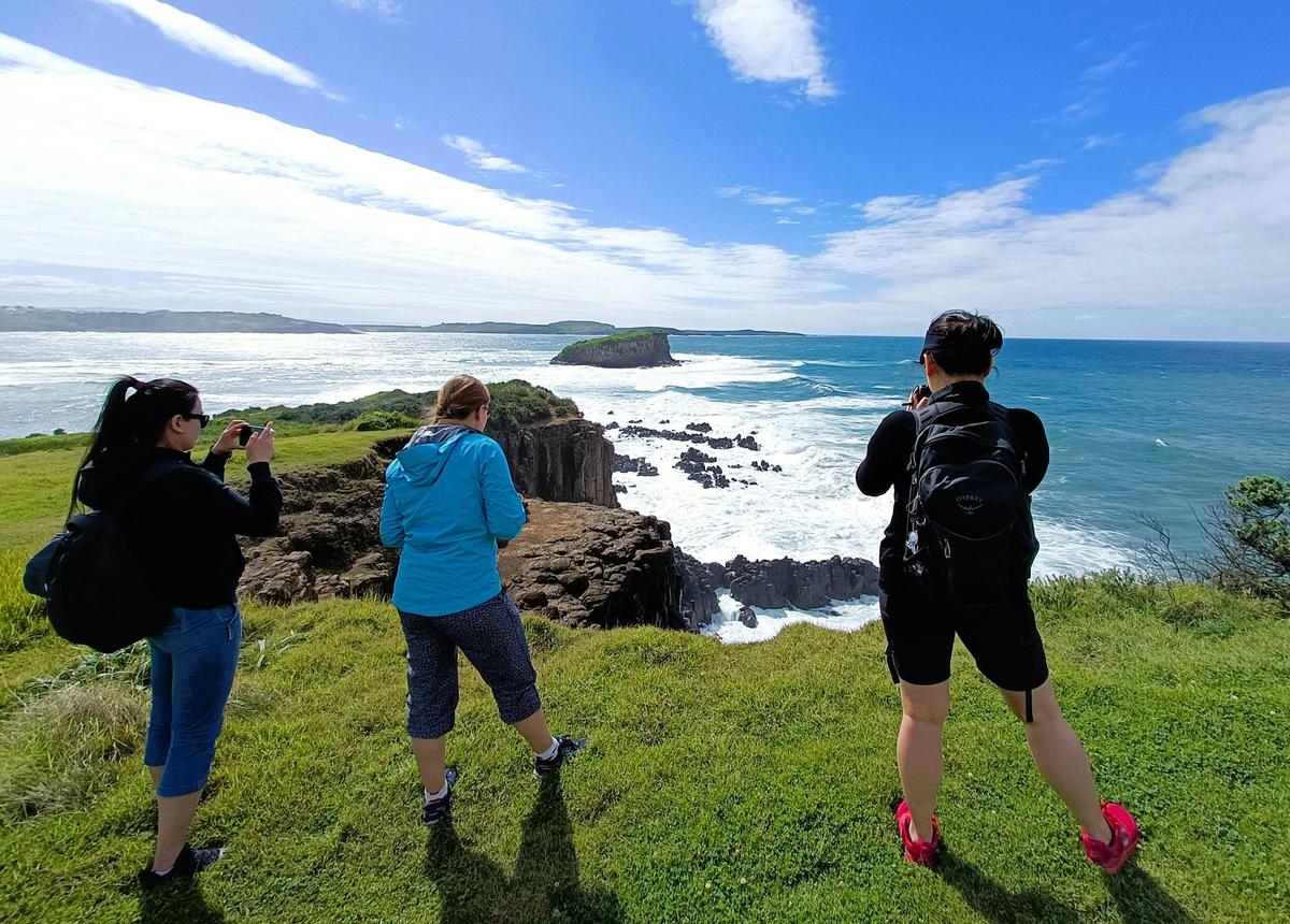 Escape Sydney: Sea Cliff Bridge, Kiama Blowhole, Beaches and Farmlands
