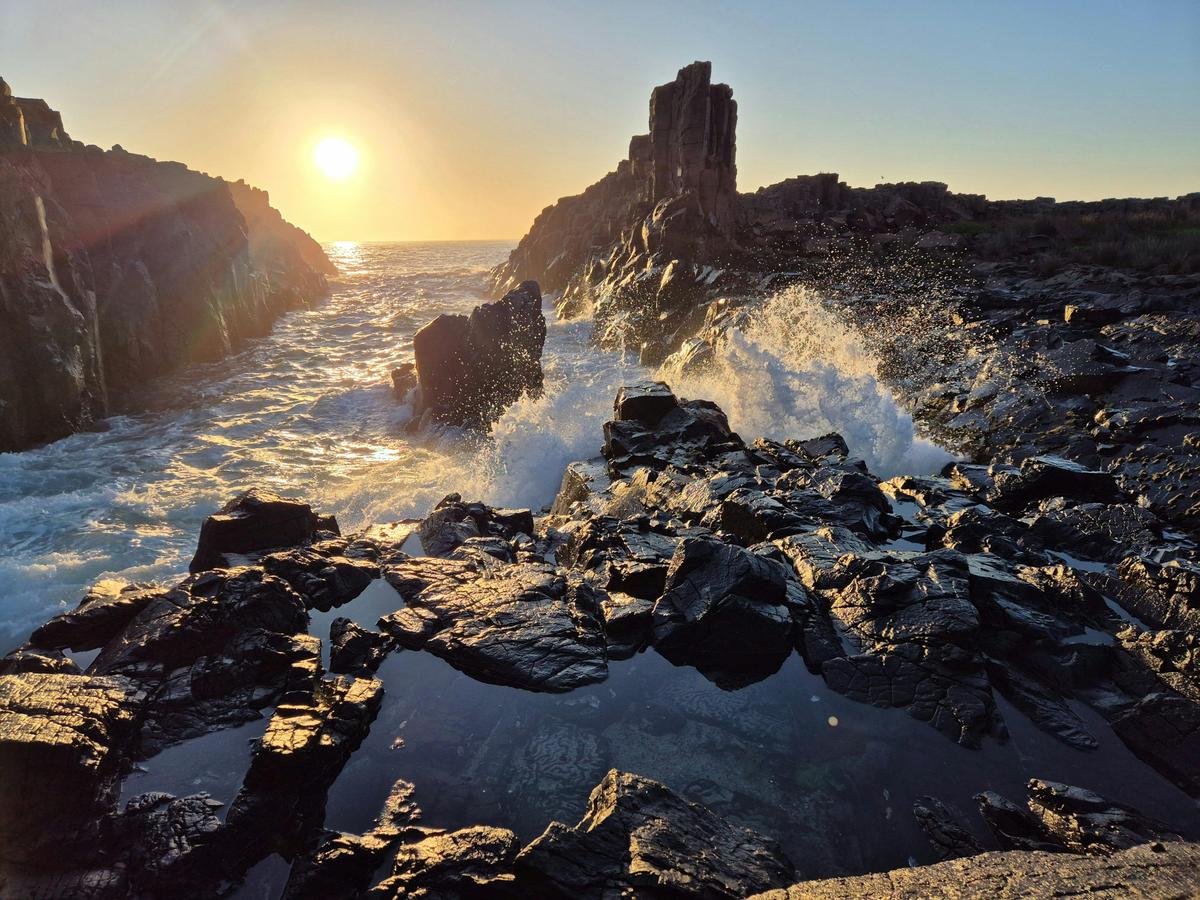Whale Watching, Wine Tasting, Dark Night Sky Stars
