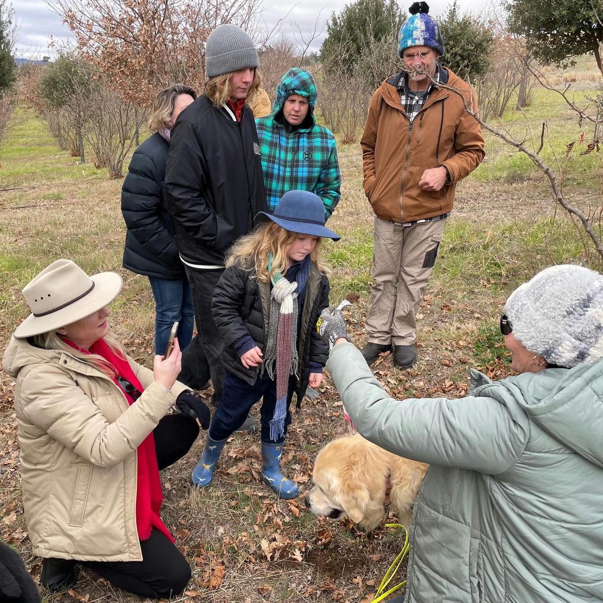 Truffle foraging at Fish River Truffles