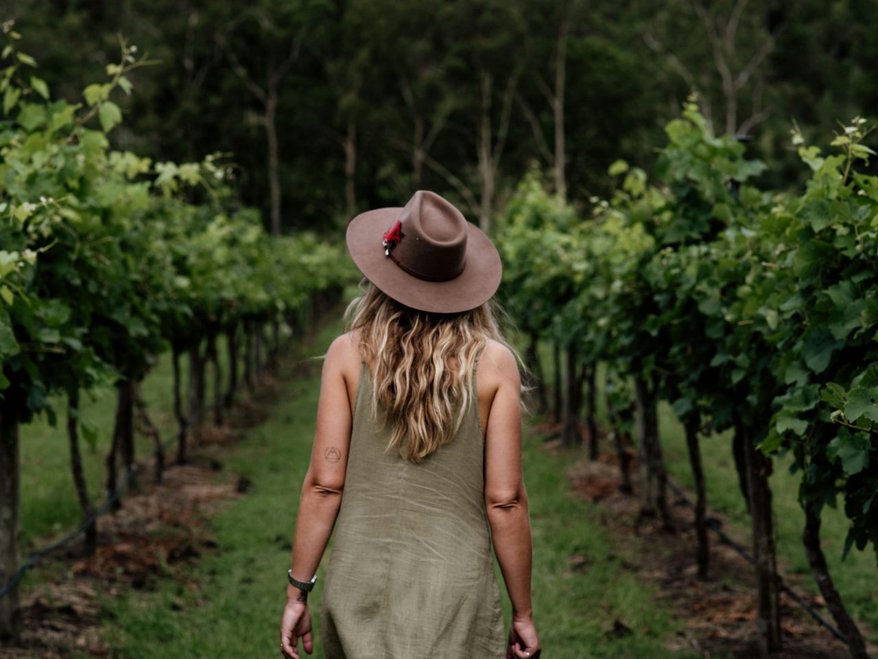 Witches Falls Winery