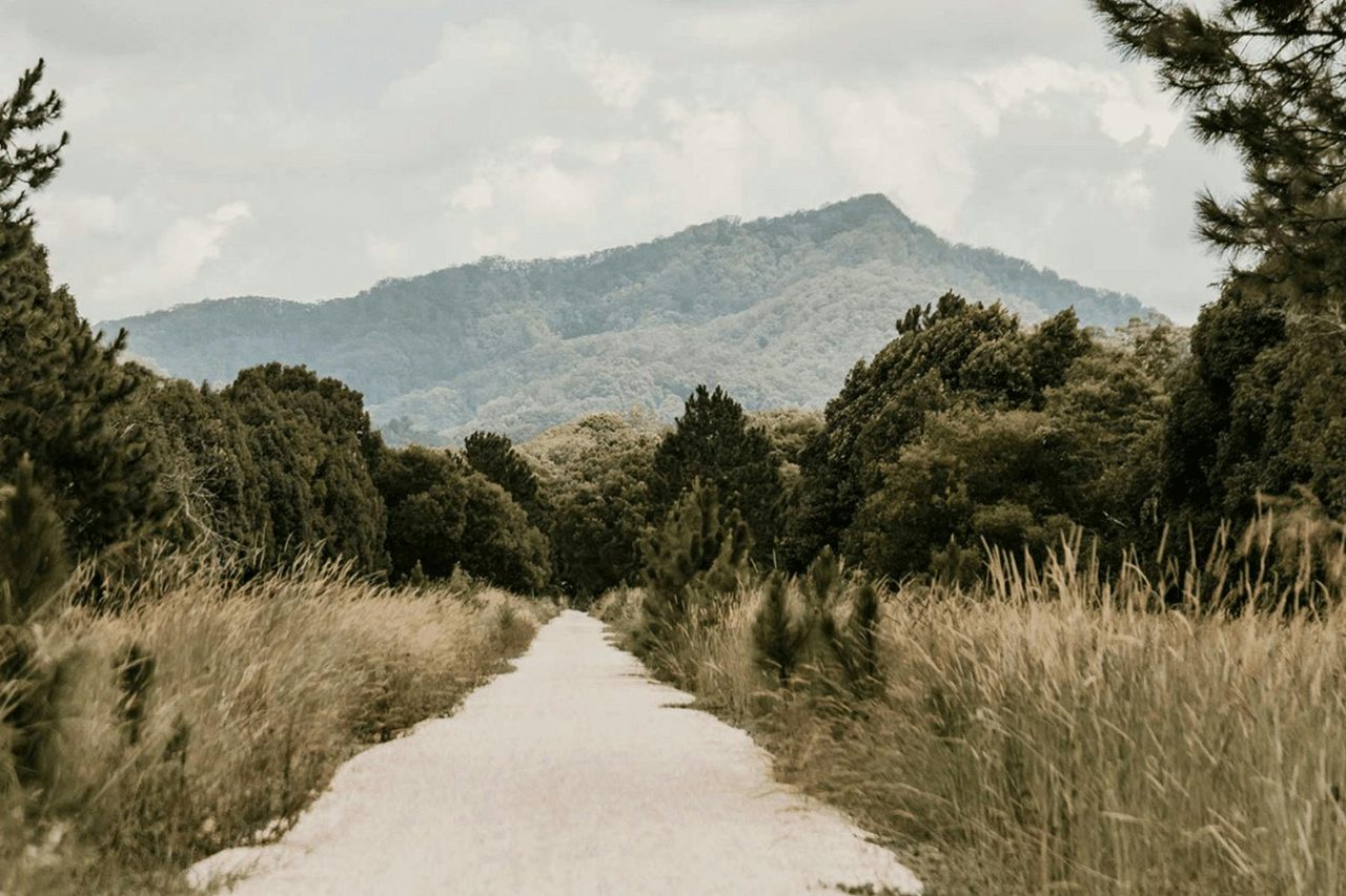 Northern Rivers Rail Trail