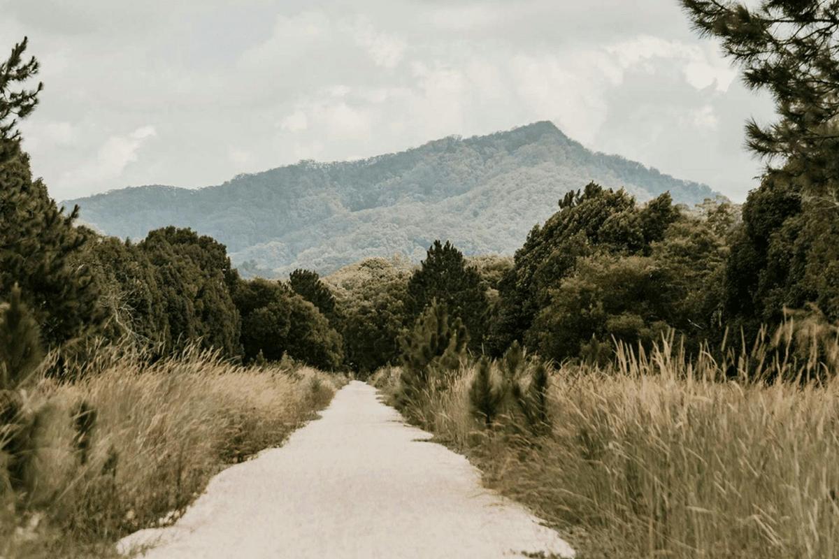 Northern Rivers Rail Trail