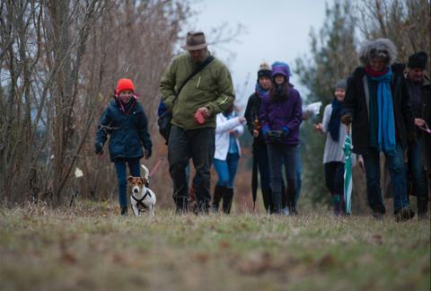 Damian and Frisbee hunting Truffles