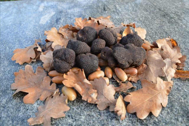 Turalla Truffles
