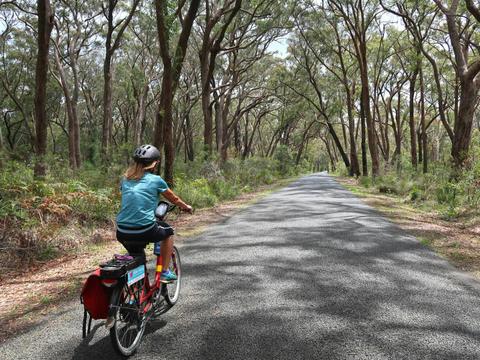 Cycling the quiet route to Robertson.