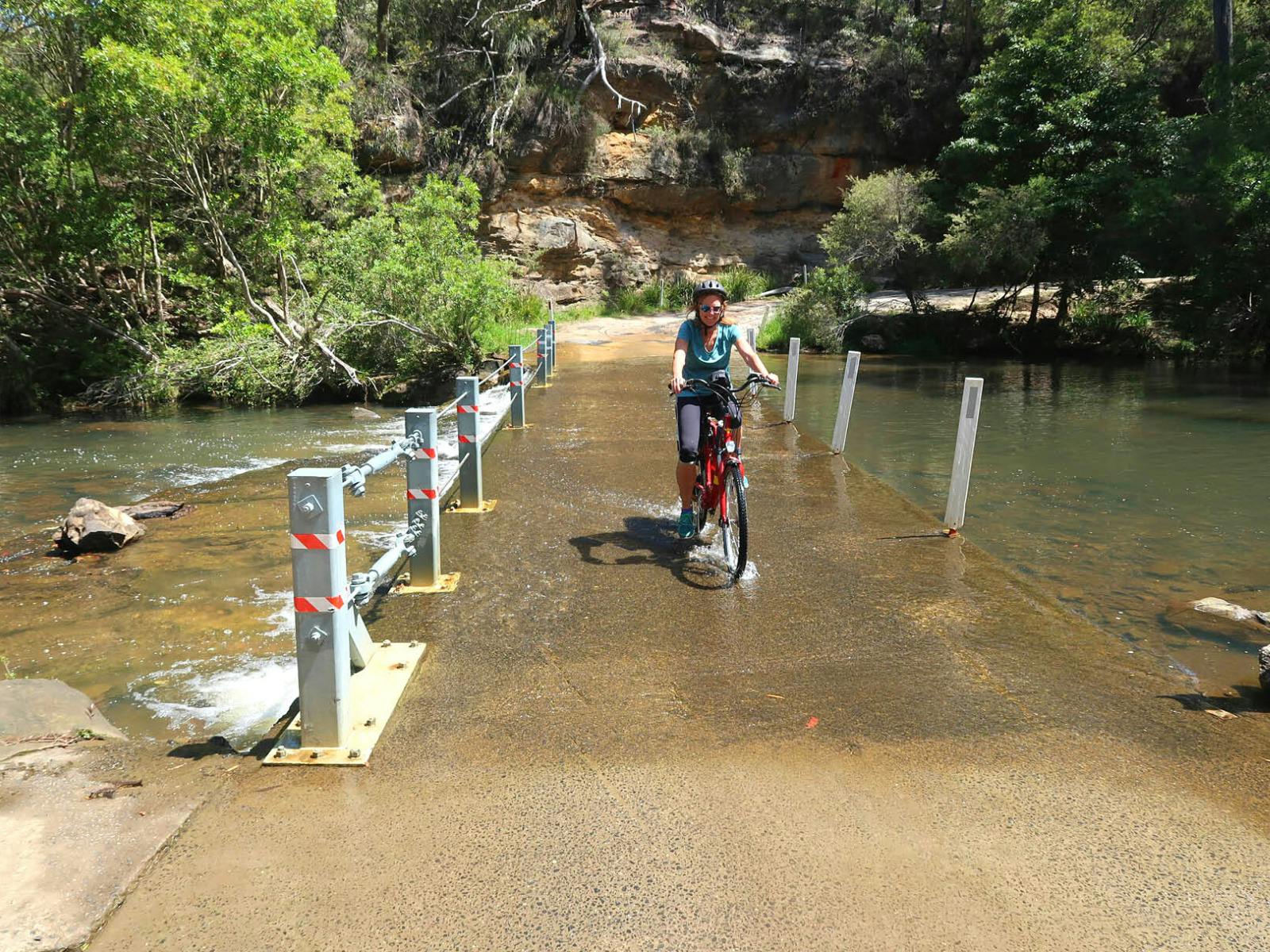 Cycling past fields with cows grazing in the Southern Highlands.