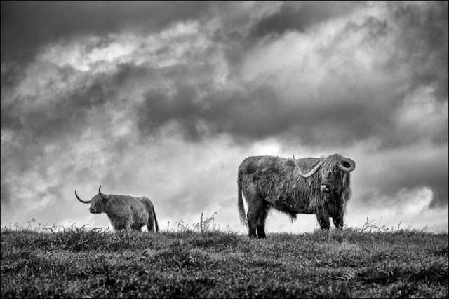 The Highlands Tour Co