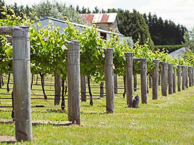 The Highlands Tour Co