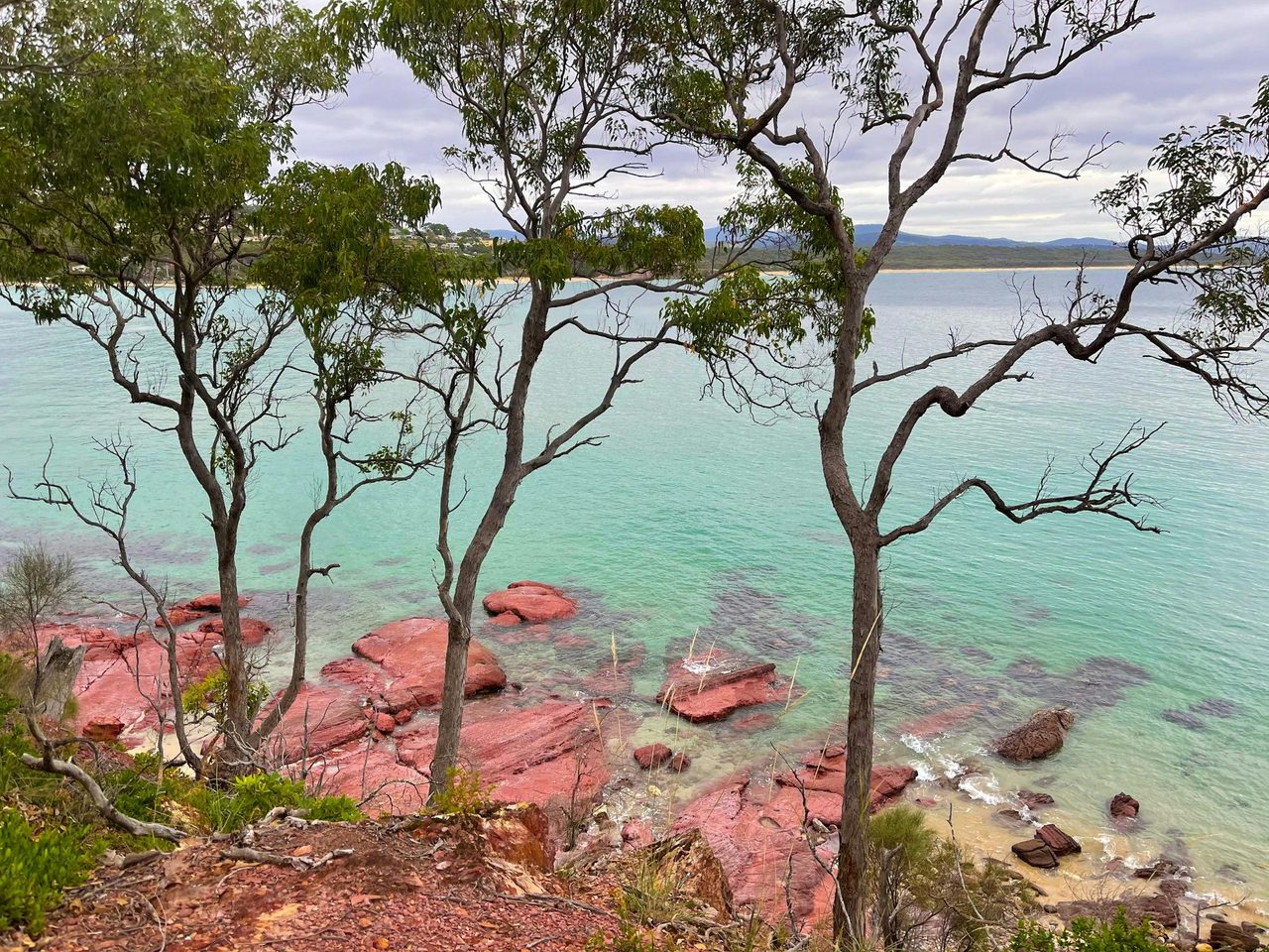 Twofold Bay Sapphire Coast New South Wales