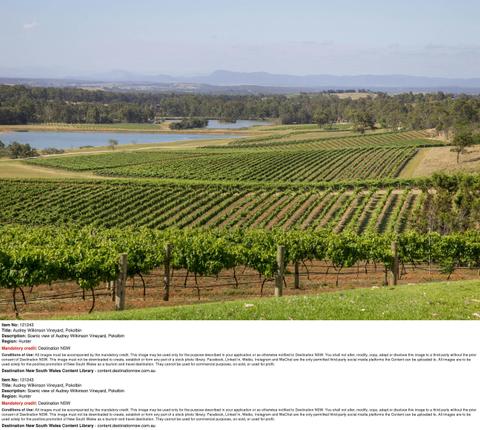 Enjoy cycling with scenic views over the vineyards in the Hunter Valley.