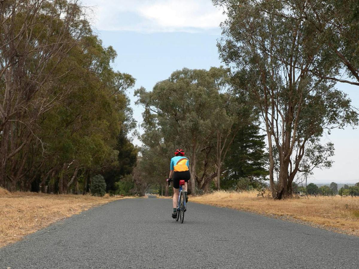 Rylstone and Wollemi National Park Self-Guided Cycle Tour