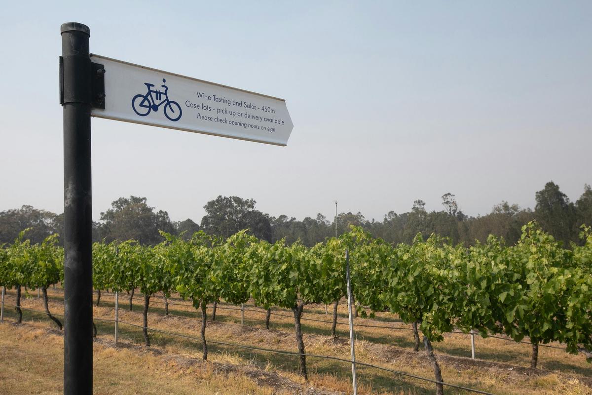 Follow the Hunter Valley's dedicated cycle route