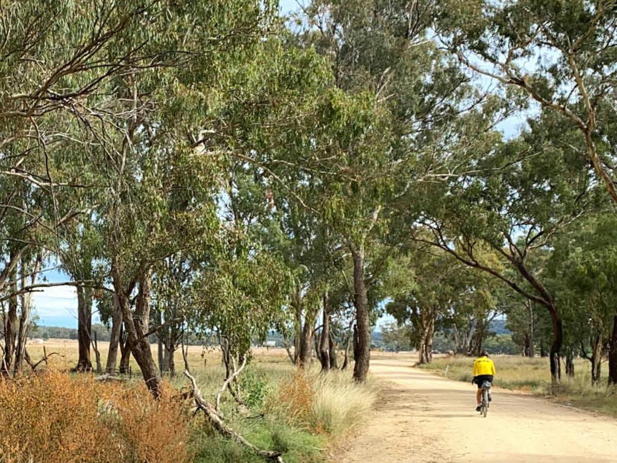 A quiet unpaved route between Mendooran and Dunedoo.