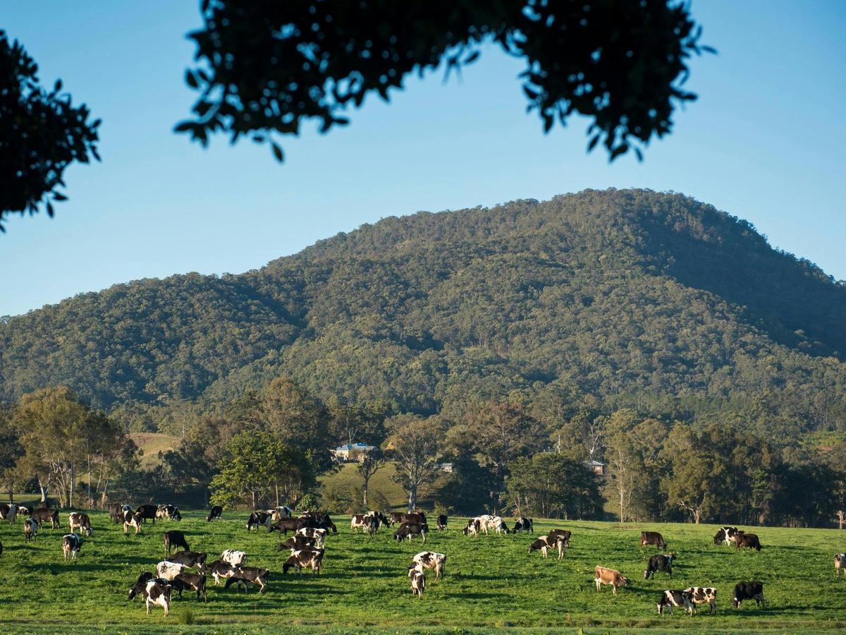 Discover the Northern Rivers by bike.