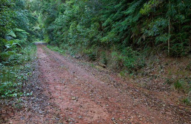 Cascade mountain bike trail