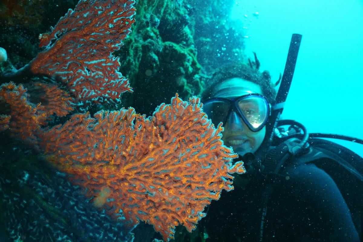 immerse yourself in the marine realm and witness the untouched and thriving underwater ecosystems.