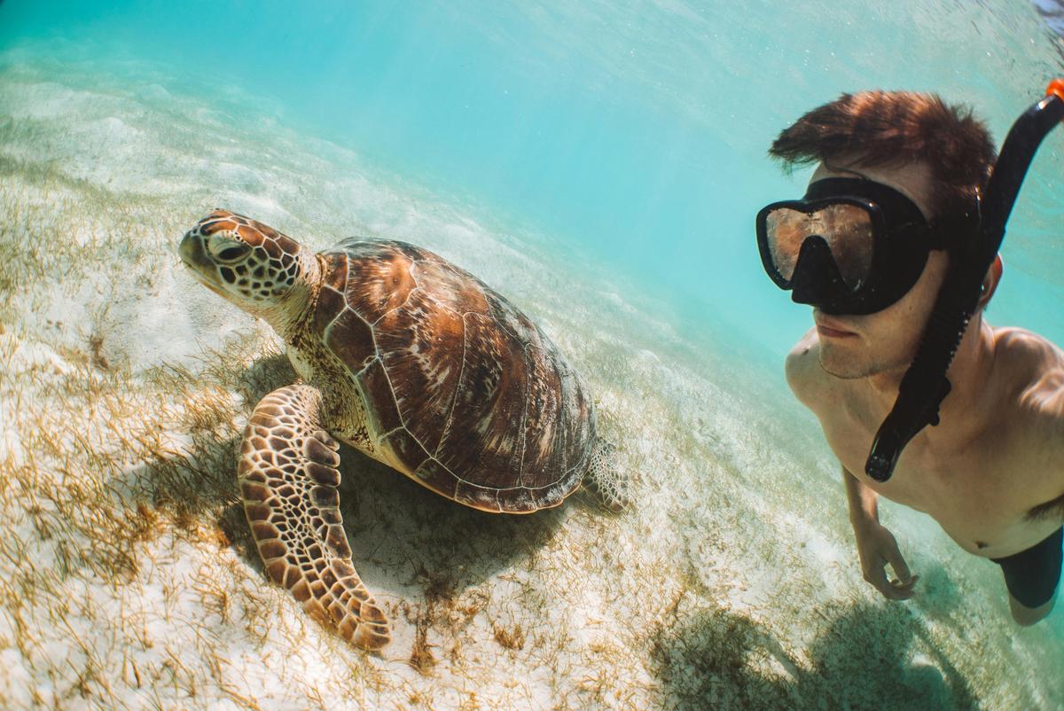 Lizard Island Adventure by Air