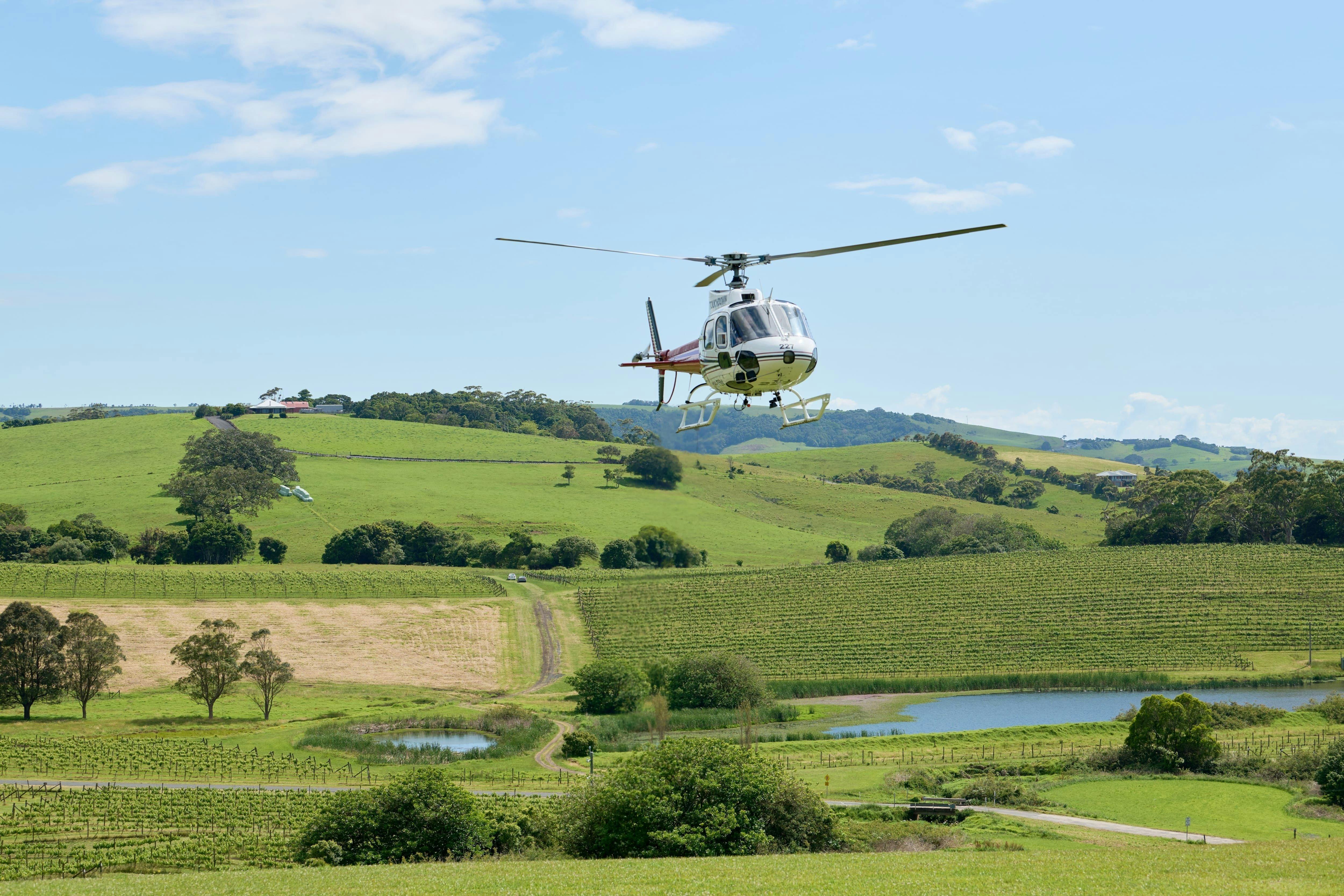 Albion Park, South Coast