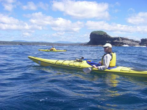 Exploring Batemans Bay by kayak