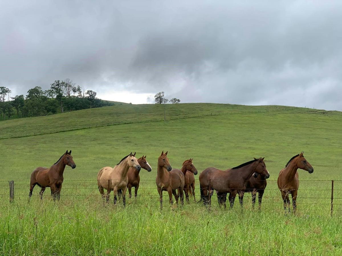 just watching us ride by