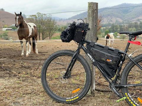 The ride is filled with spectators