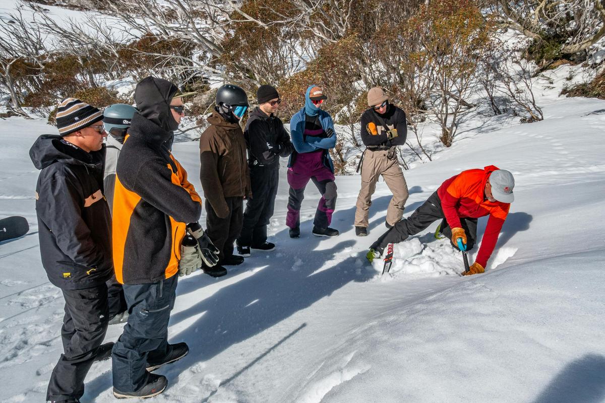 Snowpack analysis