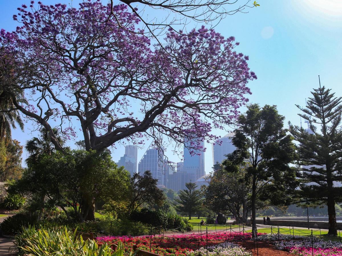 Sydney Harbour Jewels