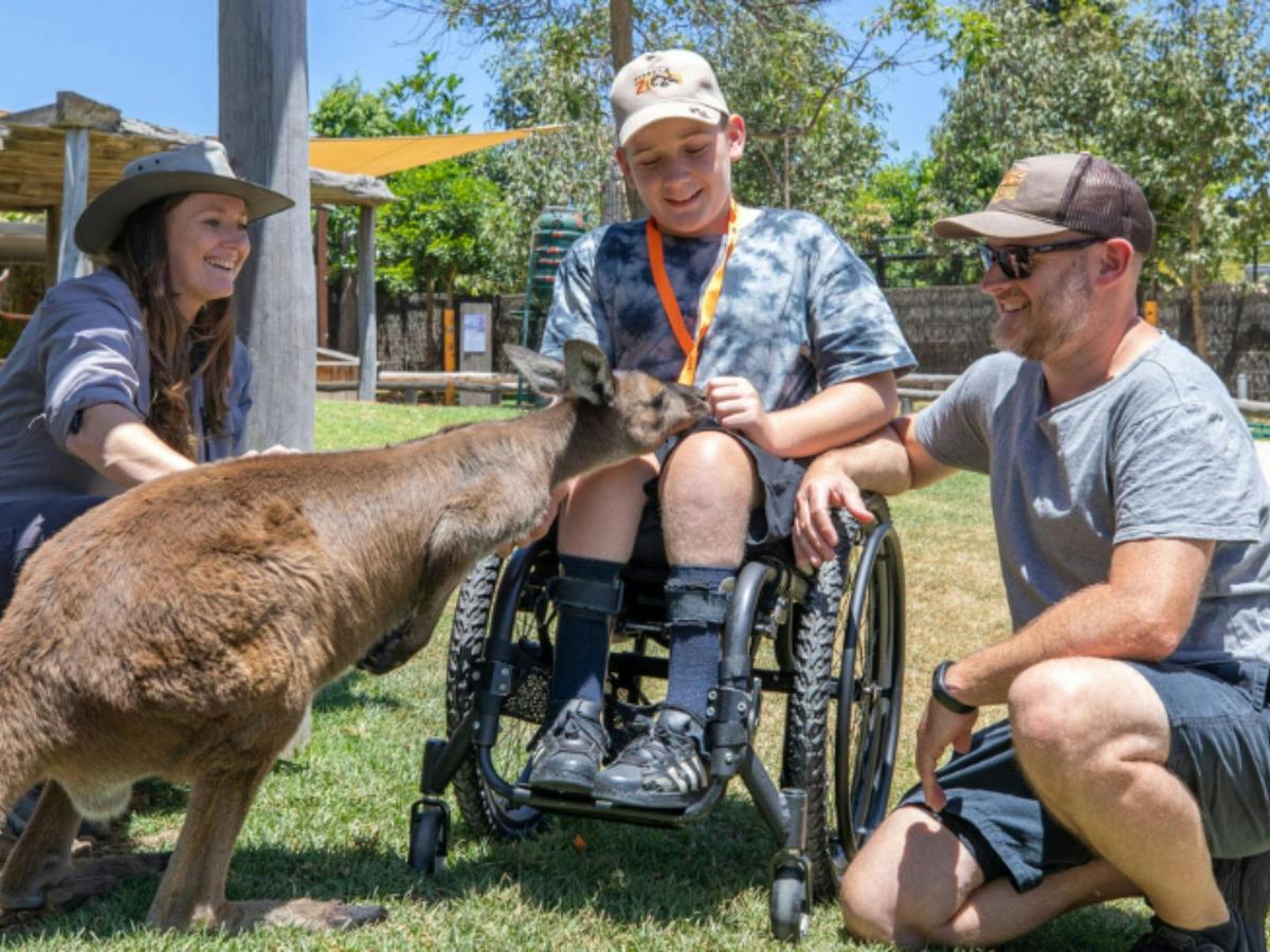 Kangaroo feeding experience in Zoo