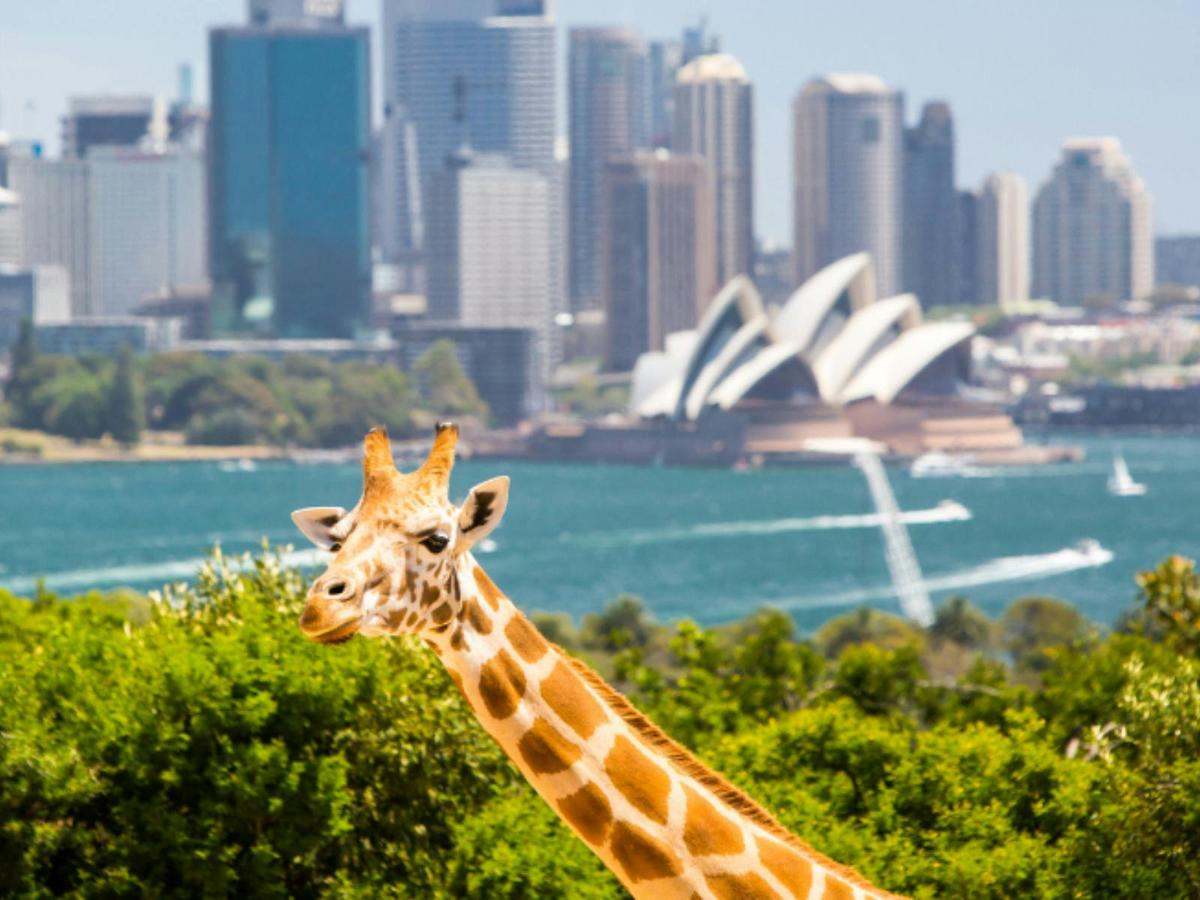 Taronga Zoo overlooking Sydney Harbour