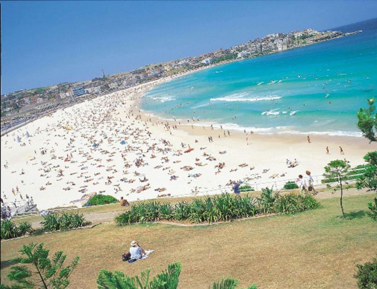 sydney beach sightseeing